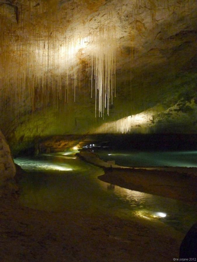 Logez Au Coeur Du Parc Du Vercors Saint-Laurent-en-Royans Extérieur photo